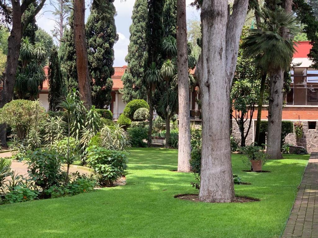 Hotel Express Quinta Soledad Mexico City Luaran gambar