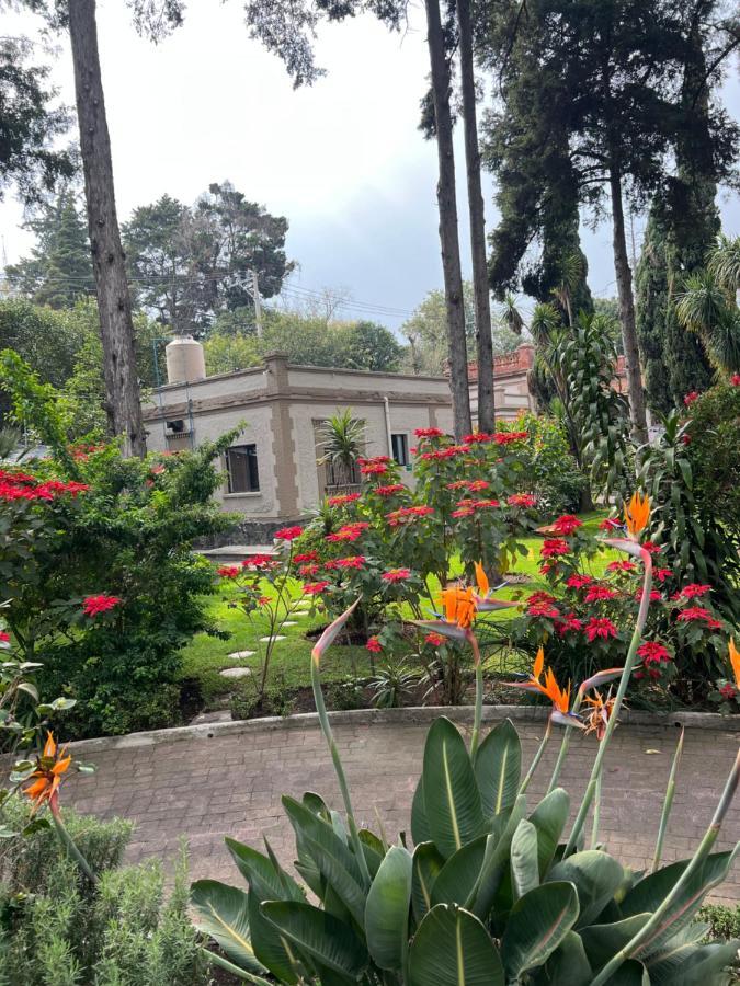 Hotel Express Quinta Soledad Mexico City Luaran gambar